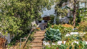 Un escalier entouré d’une végétation luxuriante et de plantes, menant à un bâtiment à la façade blanche.