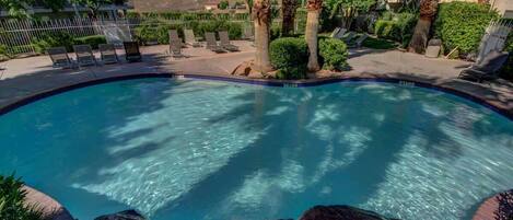 A swimming pool with lounge chairs and palm trees.