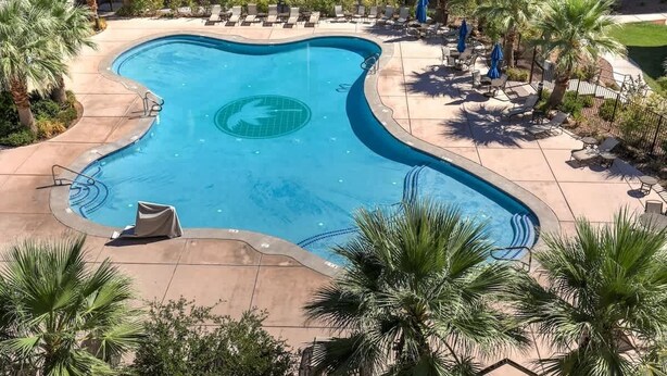 Una piscina dalla forma particolare, circondata da lettini e palme.