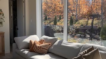 Smart TV, lareira, livros