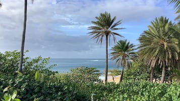 On the beach, sun loungers, beach towels