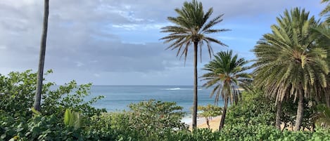 On the beach, sun loungers, beach towels