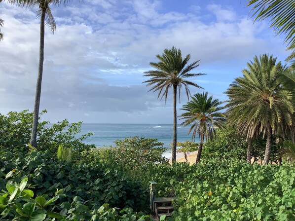 Am Strand, Liegestühle, Strandtücher