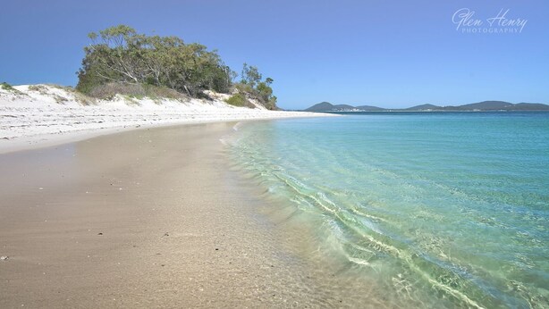 A beach with clear water, sandy shore, and a tree-lined dune.