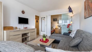 TV, DVD player, ping pong, stereo