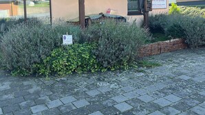 Ein zweistöckiges Gebäude mit Balkon und einer Beschilderung, die auf eine Vermietung hinweist, sowie ein gepflasterter Auffahrt.