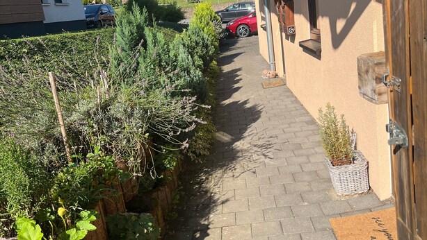 Ein schmaler Pfad führt zu einer Holztür, gesäumt von Grünpflanzen und einer Backsteinmauer.