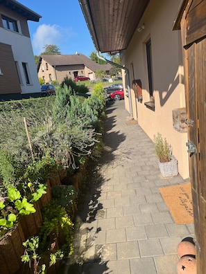 Un sendero estrecho que conduce a una puerta de madera, bordeado por follaje y un muro de ladrillo.