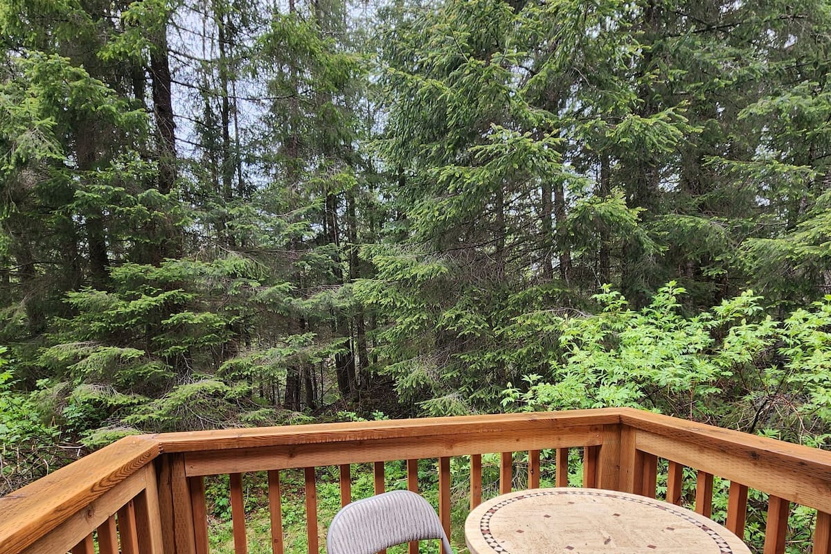 A wooden deck with a round table and two chairs, surrounded by dense forest.