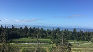 A view of a coastal landscape with dense forests, agricultural fields, and a clear blue sky. - Vancouver (UBC ) one bed room in luxury house  (Vancouver)
