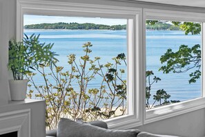 A room with a large window overlooking a body of water, a plant on a shelf, and a sofa.