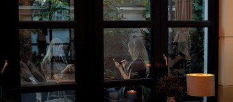 Hotel Boutique Cosmopolita Timisoara