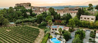 Villa with private pool and vineyard views