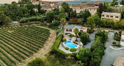Villa with private pool and vineyard views