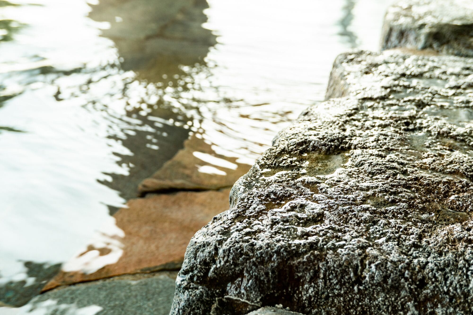 A close-up of a stone structure with a rough texture, reflecting in water.