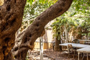 Studio | Courtyard view