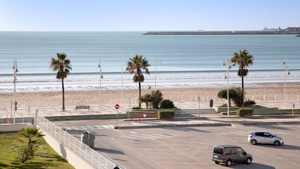Eine Küstenstraße mit Palmen, einem Strand und blauem Himmel.