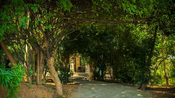 A pathway through a wooded area with a stone structure in the distance.