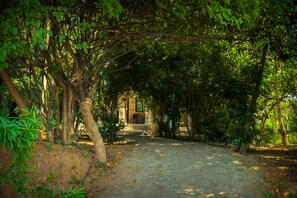 Quang cảnh nhìn từ nơi lưu trú