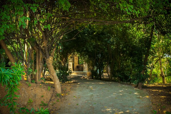 View from property - Panna Tiger Resort- River Side Property (Panna)