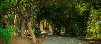 Panna Tiger Resort- River Side Property