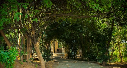 Panna Tiger Resort- River Side Property