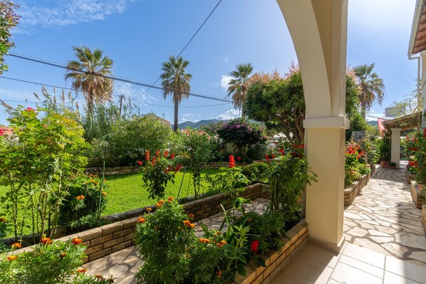 A garden with a stone pathway, palm trees, and a variety of plants.