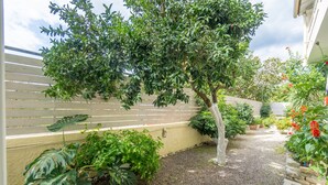 A garden with a variety of plants and a gravel path.