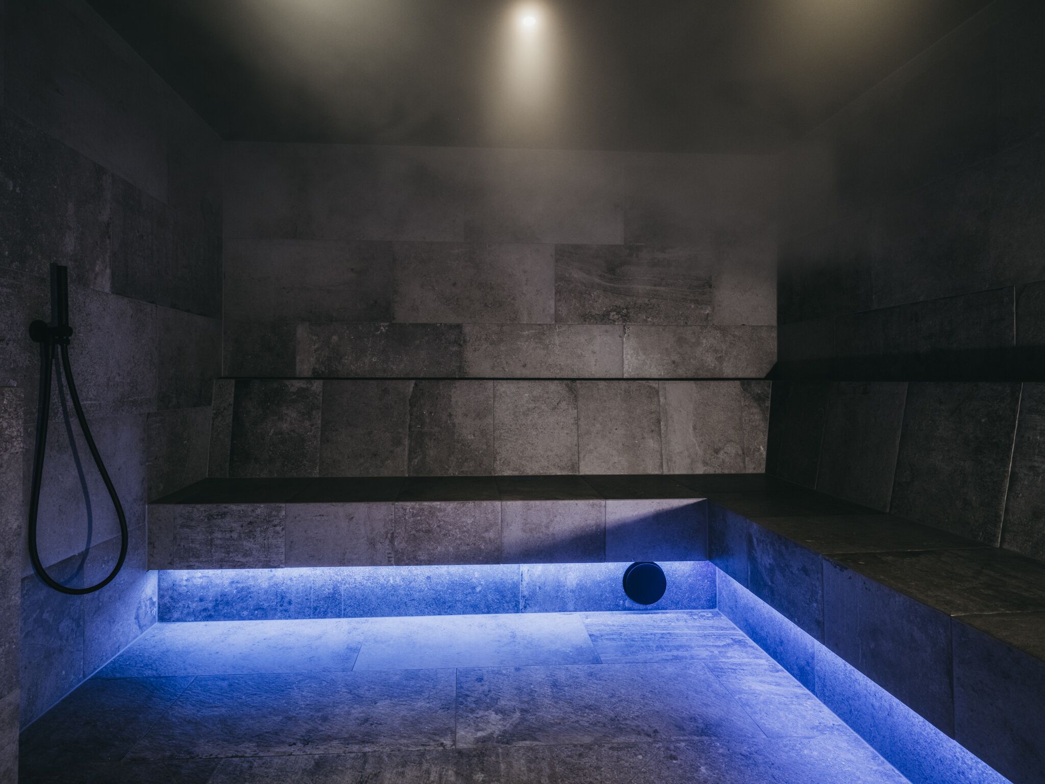 Sauna, steam room