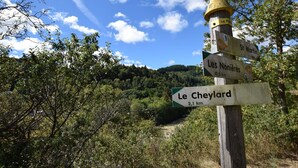 A directional signpost with multiple signs pointing to different destinations, surrounded by lush greenery and a clear sky.