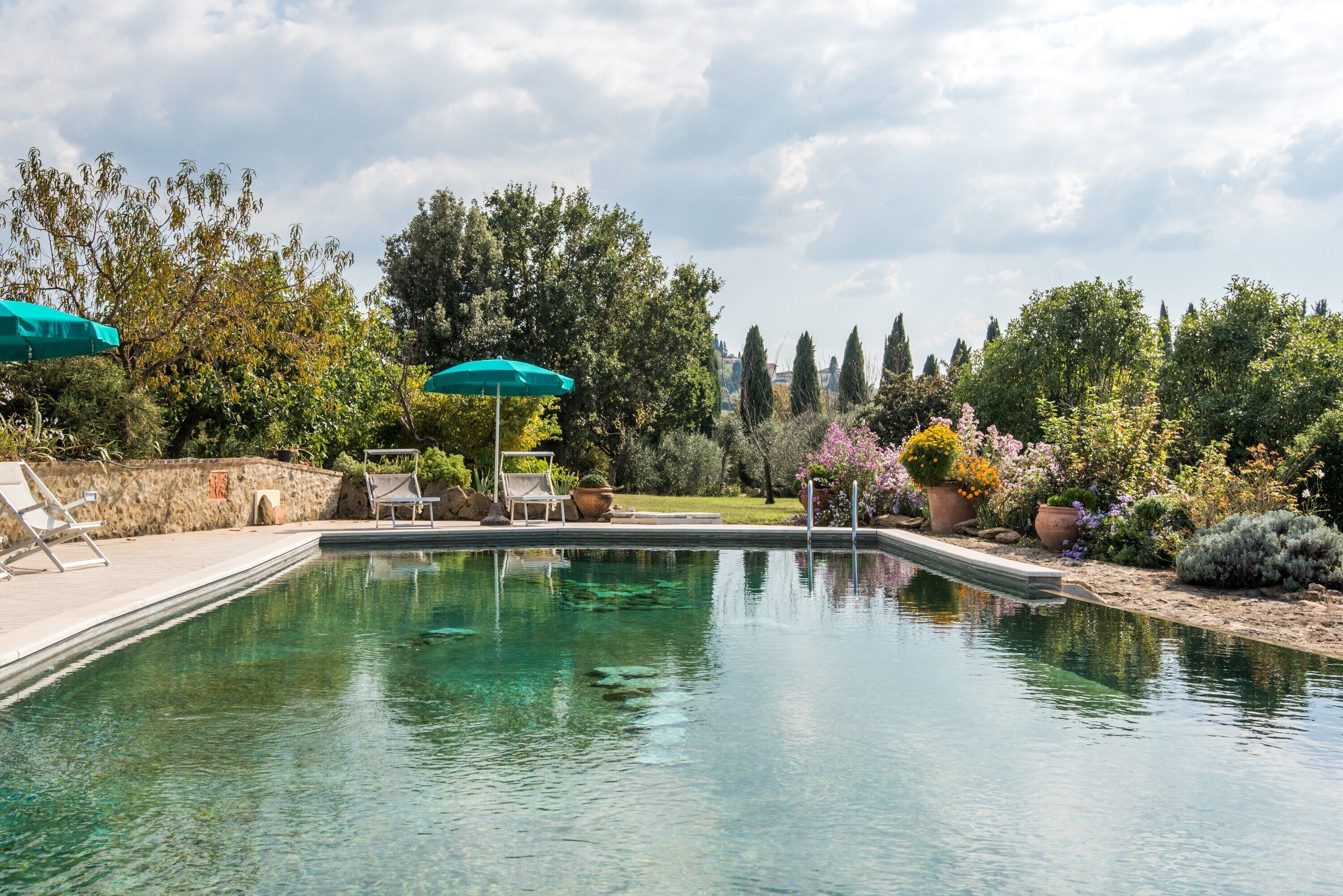 Piscina com espreguiçadeiras e guarda-sóis, cercada por vegetação e árvores.