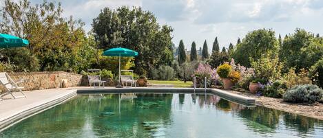 Piscina com espreguiçadeiras e guarda-sóis, cercada por vegetação e árvores.