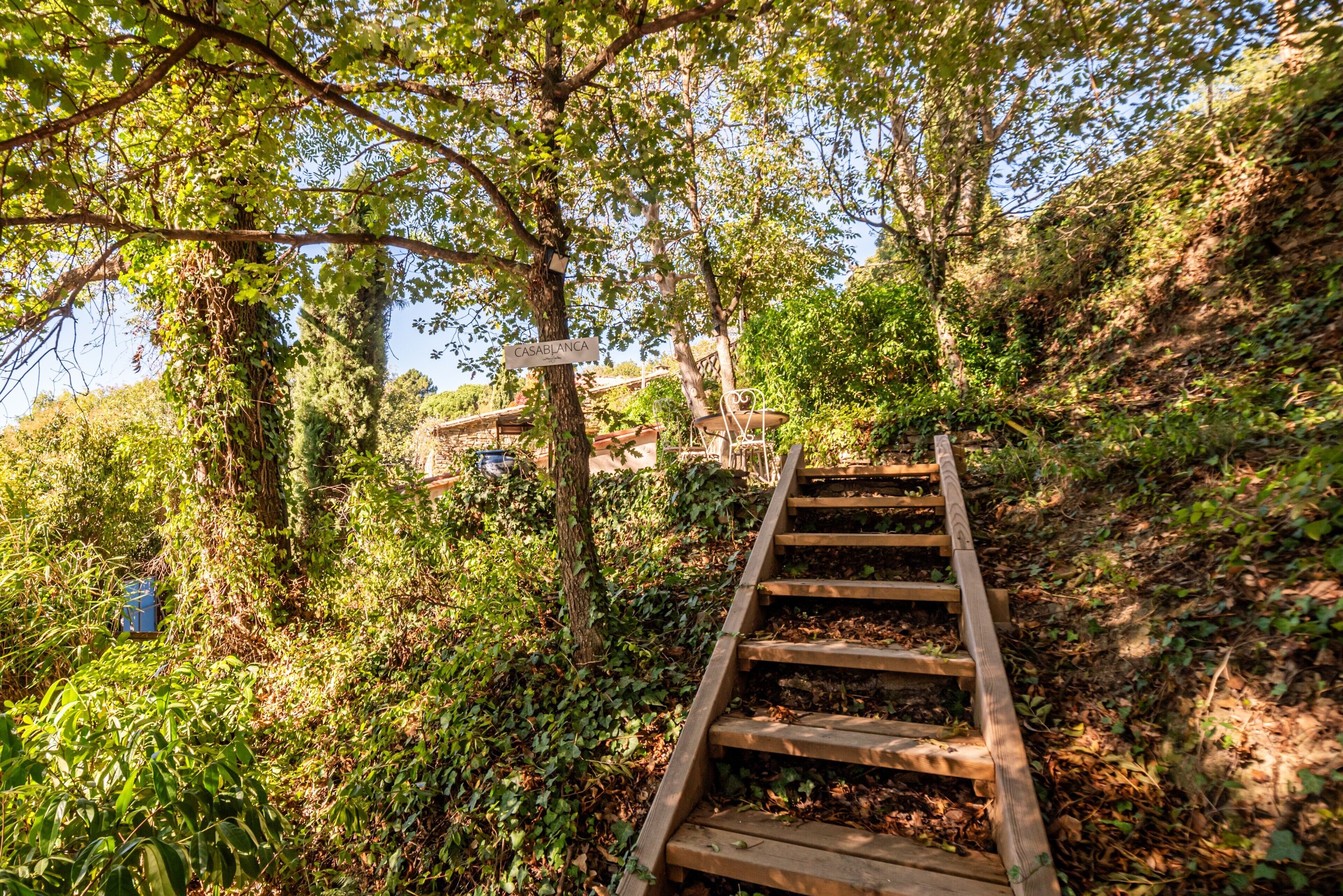 Parco della struttura