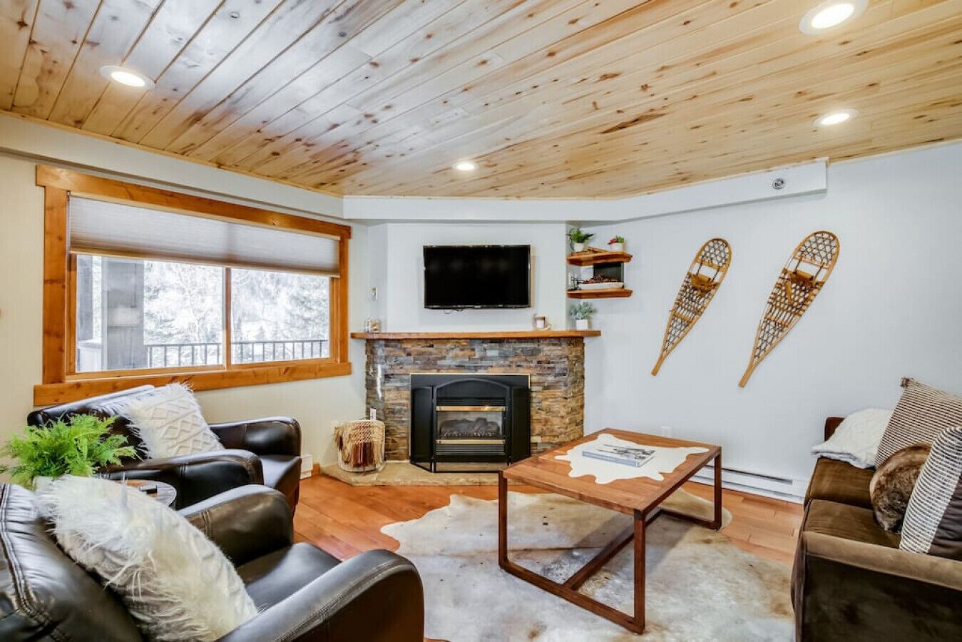 TV, fireplace, books