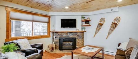 TV, fireplace, books