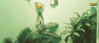 Habitación Y Baño Independientes