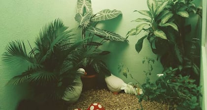 Habitación Y Baño Independientes