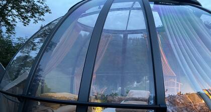 Dôme Transparent Hébergement Insolite