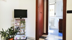Un couloir avec un téléviseur posé sur une étagère blanche, une plante en pot et une porte en bois donnant sur une salle de bain.