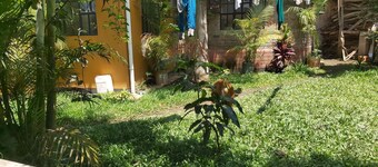 Mama Aziz Homestay
