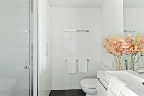 Shower, hair dryer, towels