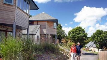 Room | Desk, soundproofing, iron/ironing board, free WiFi