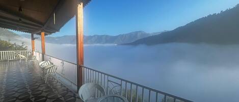 テラス / パティオ