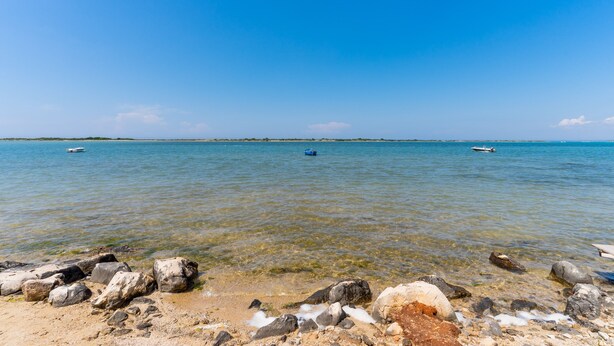 A beach with clear water, rocks, and a distant shoreline. - 3478 Atene - PT By Barbarhouse (Porto Cesareo)