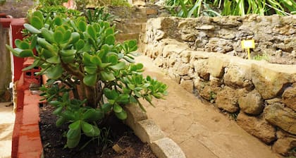 Eco House in Unique Environment