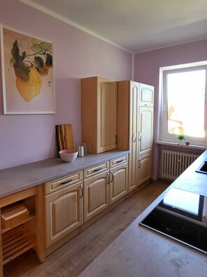 Kühlschrank, Ofen, Herdplatte, Geschirrspüler