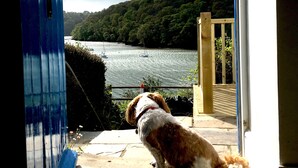 A dog sitting on a stone deck overlooking a river with boats, with a forested hill in the background. - Fal River Cottage (Truro)