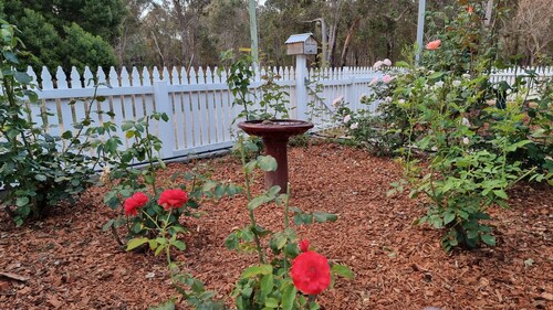 Rose Cottage - Nannup