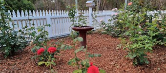 Rose Cottage - Nannup