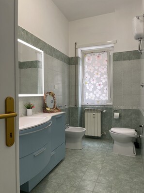 Shower, hair dryer, bidet, towels